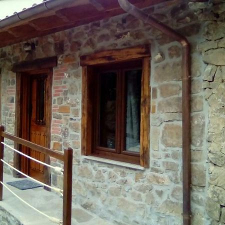 La Rama Del Castor Villa Espinama Bagian luar foto